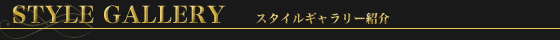 スタイルギャラリー紹介